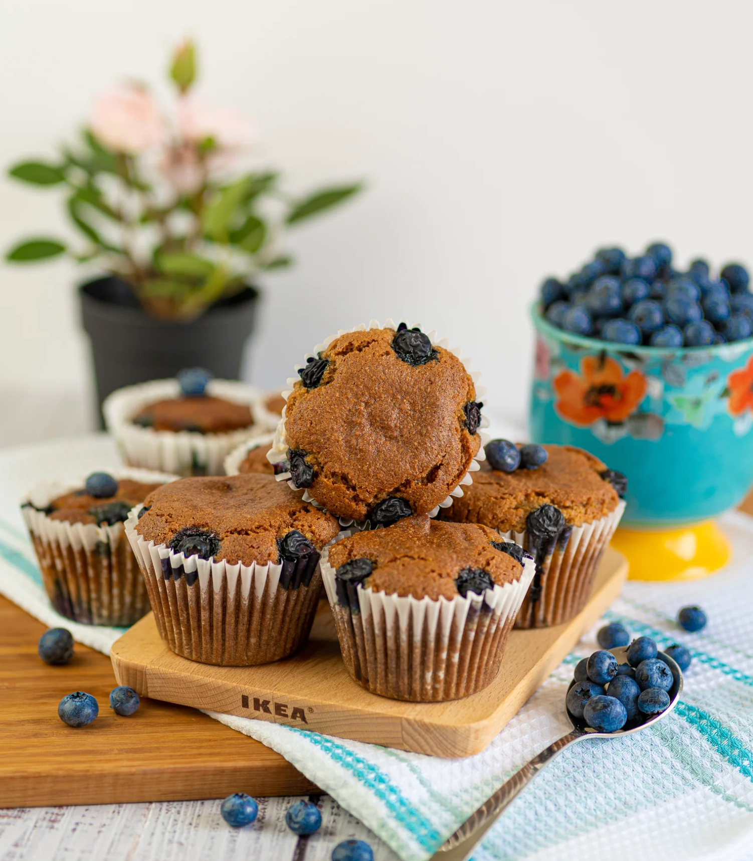 Protein Blueberry Muffins (Pack of 2) - Bianca Loves