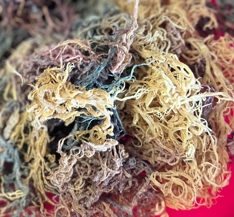 Dried Sea Moss