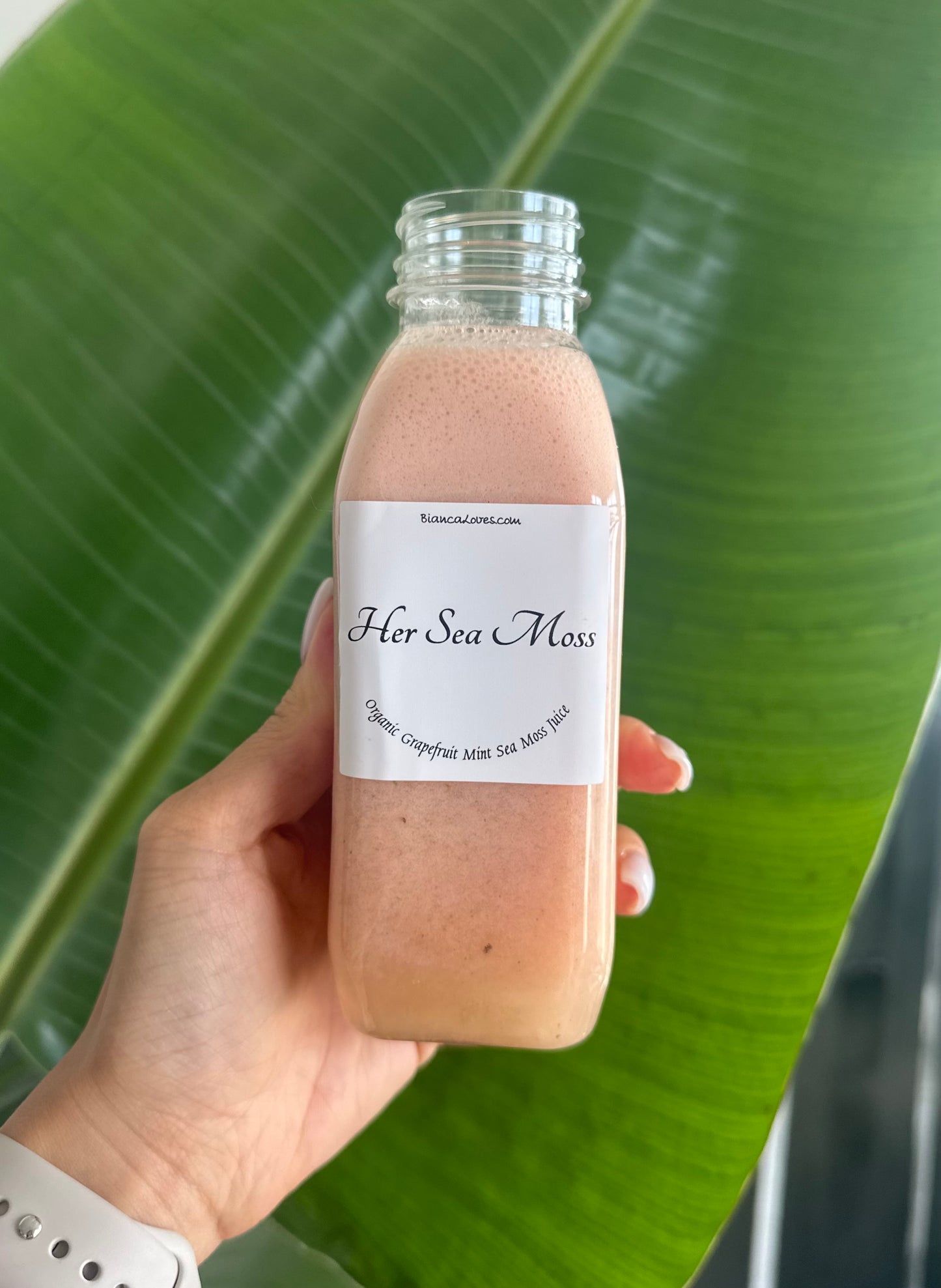 Grapefruit Mint Sea Moss Juice  12oz (3 pack) - Bianca Loves